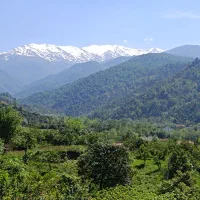 فروش ۲۸۸ متر زمین مسکونی در شمال