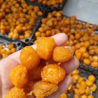 الو کبری خوش طعم و درشت