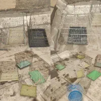 انواع قفس پرنده