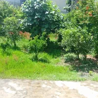 سوییت  رامسر