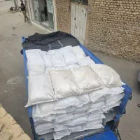 پودر سیر