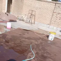 موکت