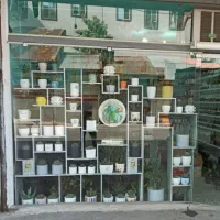 ویترین پشت شیشه‌