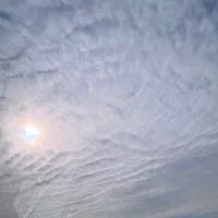 خط تلفن ثابت