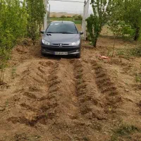 فروش-زمین-250متری-باغچه-درآبسرد