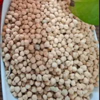 نخود محلی تازه درشت تمیز بوجاری شده