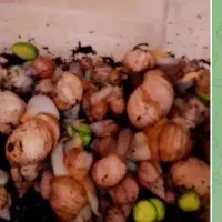 با 10 میلیون تومن سرمایه کار خودتو داشته باش