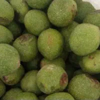 گردو با پوسته سبز درجه یک
