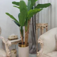 گل ترند