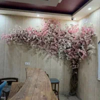 لیزر پوست مو زیبایی