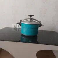 زودپز ۸ لیتری سب