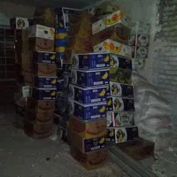 کارتون موز خارجی