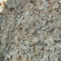 نان‌خشک