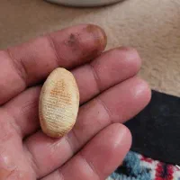 مهره زرد چوبه سرخ کن معاوضه قناری و ظرف مسی