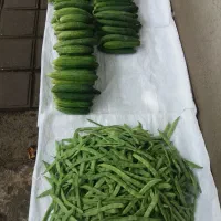 سسپله و خیار
