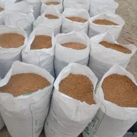 زراعت|گل و گیاه طبیعی|باغ ملک, |دیوار