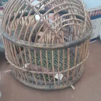 فروش قفس چوبی قفس پرنده