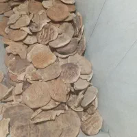 نان خشک تمیز