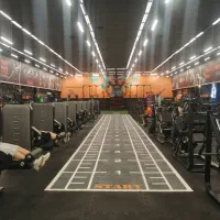 ارائه برنامه ورزشی