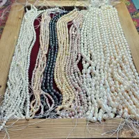 انواع ریسه مروارید پرورشی