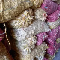 سیر تور وسبد به صورت کلی وجزئی