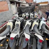 آمیکو درحد موجود با برگه ارگان