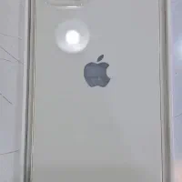 13 normal