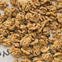 مغز گردو بلغاری ( عمده)