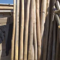 چوب