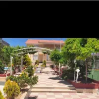 باغشهر گود گویم فروش زیتون افتاب