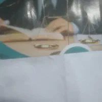 کارشناس ومشاورحقوقی