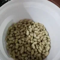 توت سفید بش