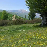 همسفر طبیعت گردی و دوچرخه سواری