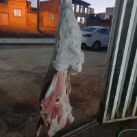گوشت گوسفند درجه یک