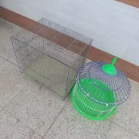 قفس پرنده فروشی سالم
