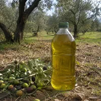 روغن زیتون بکر طارم