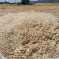 کاه تراکتور زده