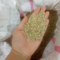 عدس فروشی