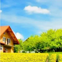 زمین قابلیت مسکونی انباری کارگاهی haf