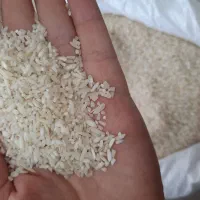 برنج لاشه طارم هاشمی