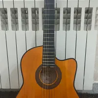 گیتار وفایی