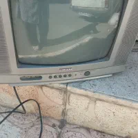 تلوزیون