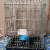 قفس