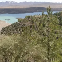 فروش-اقامتگاه-سنتی-بوم-گردی-شهرستان-تیران