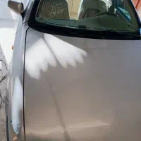 سمند عروسک دو برگ سند