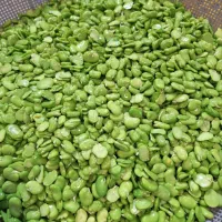 باقالی تازه و منجمد