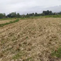 زمین-مزروعی-به-متراژ-4047