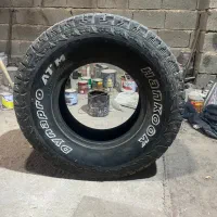 لاستیک افرودی