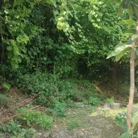 ملک 36 متری تجاری آس