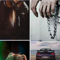 فروش دامنه و سایت shut ir